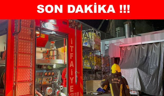 Ahşap fabrikasında siloda yangın çıktı