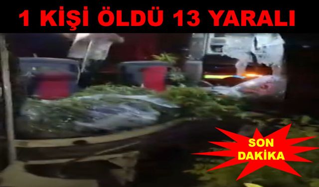 Yolcu otobüsü refüjdeki ağaçlara çarptı