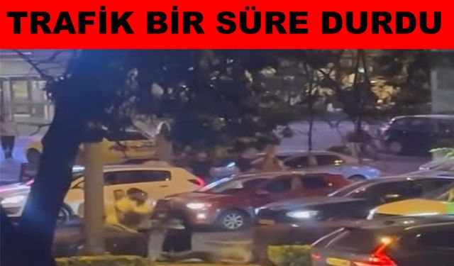 Araç sürücü yaya arasında kavga