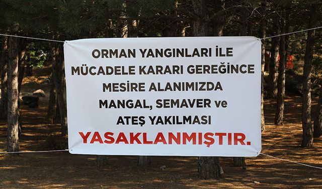 Hisarcık ve Gesi mesire alanlarında mangal, semaver yakmak yasak
