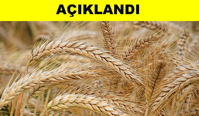 KTB listesine göre et ve tahıl fiyatları