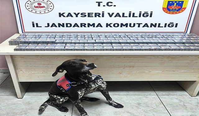 Jandarma ekiplerince yol kontrolünde 290 adet bandrolsüz kaçak sigara ele geçirildi
