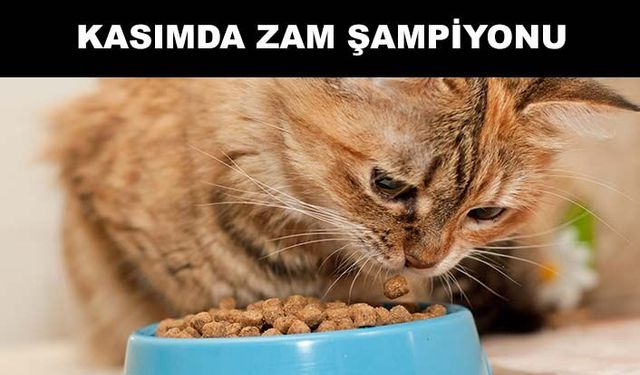 Evcil hayvan ürünleri oldu