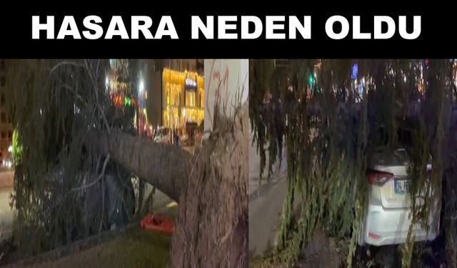 Kayseri’de şiddetli rüzgar ağacı otomobilin üzerine devirdi