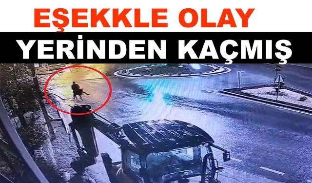 Forkliftle kuyumcu dükkanını soyan hırsız