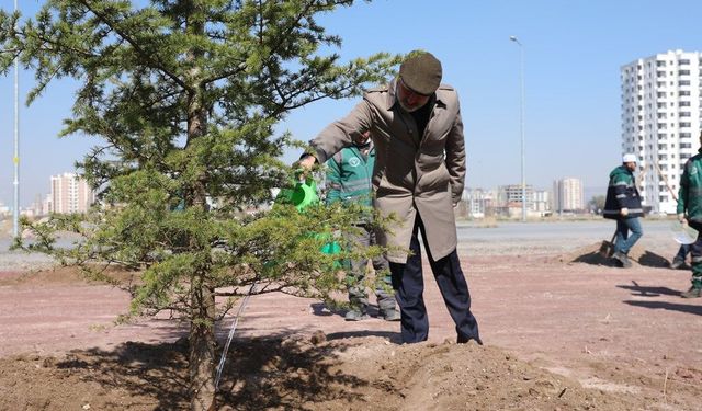 Kocasinan’da ağaç dikim sezonu başladı