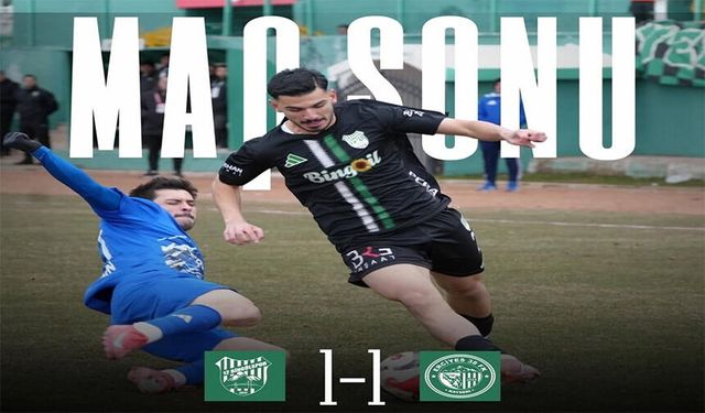 12 Bingölspor-Kayseri Erciyes38 FK: 1-1