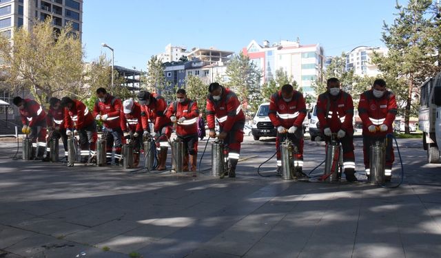 Kocasinan’da haşerelerle mücadele yılın 12 ayında aralıksız sürüyor