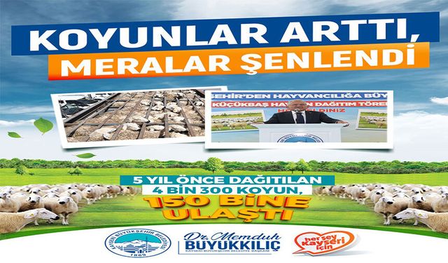Kayseri'de küçükbaş hayvancılıkta 150 bine yakın artış sağlandı
