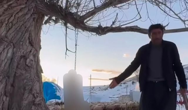 Pınarbaşı'da köpeği ağaca asarak öldüren şüpheli tutuklandı