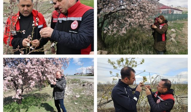 Zirai don Kayseri’yi etkilemedi