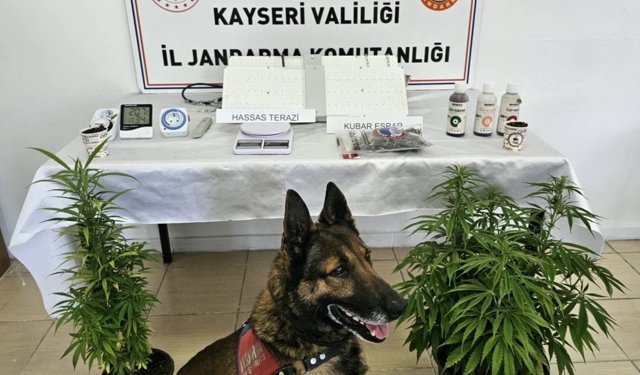 Kayseri’de Uyuşturucu Operasyonu: Esrar Ele Geçirildi