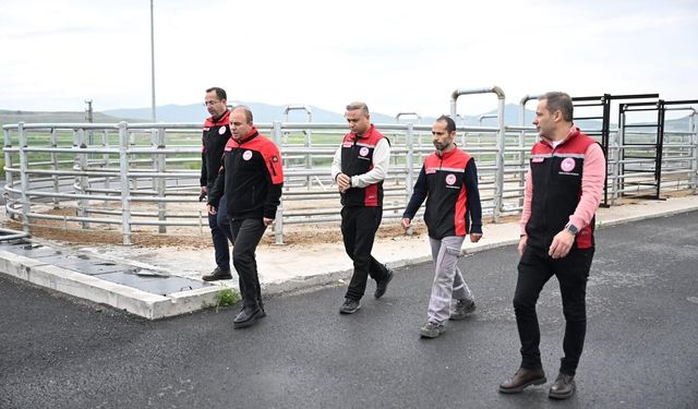 Tarım ve Orman İl Müdürü Saklav’dan Kurban Bayramı Öncesi Denetim