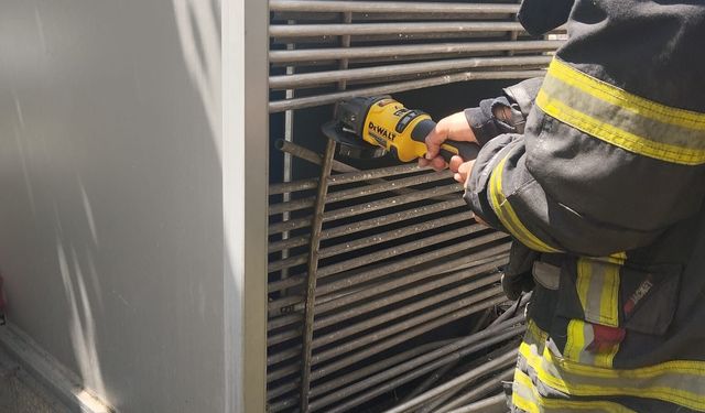 Büyükşehir İtfaiyesi’nden Patili Dosta Zamanında Müdahale