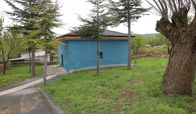 Musaşeyh Türbesi Yeniden Ziyarete Açıldı