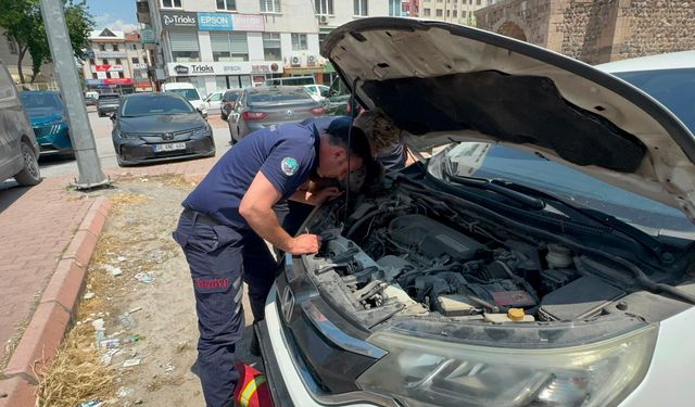 Otomobilin Motoruna Sıkışan Kedi İtfaiye Ekiplerince Kurtarıldı