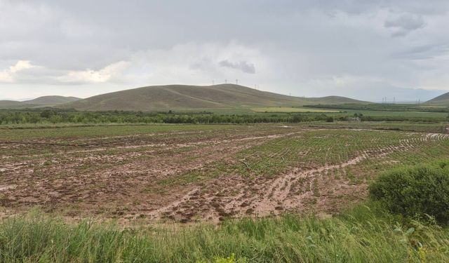 Yeşilhisar’da Sel: Tarım Arazileri Sular Altında Kaldı
