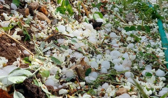Tomarza’da Dolu, Tarım Arazilerinde Zarara Neden Oldu