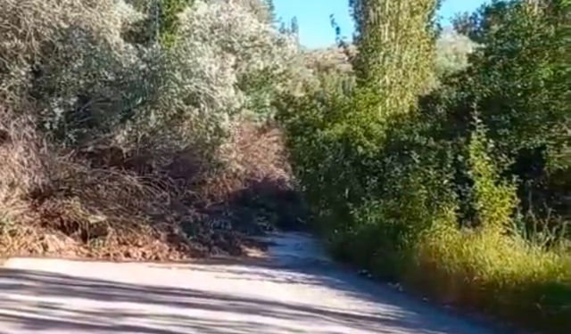Sarıoğlan’da Heyelan Ulaşımı Durdurdu