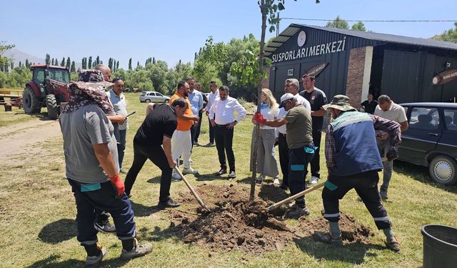 Böke, Kano Merkezi'nde Çevre Düzenleme Çalışmaları İncelendi