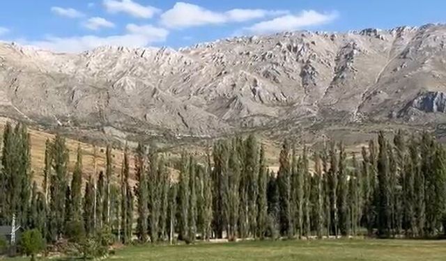 Amerikalı Paraşütçü Sarız'a Mecburi İniş Yaptı