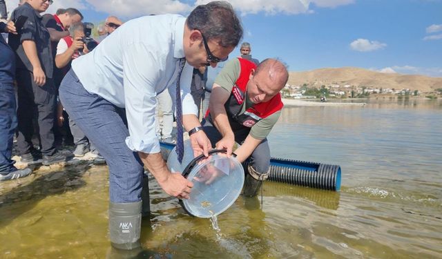 Kayseri’de Yavru Sazanlar Suyla Buluştu