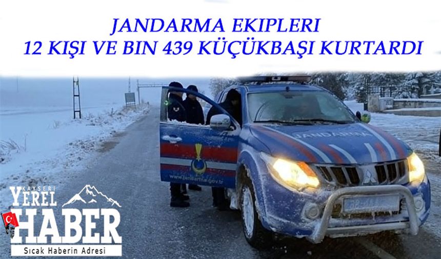 Jandarma ekipleri 12 kişi ve bin 439 küçükbaşı kurtardı