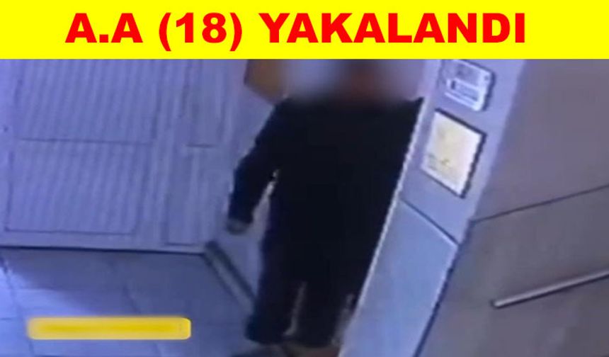 Cep telefonu hırsızı yakalandı