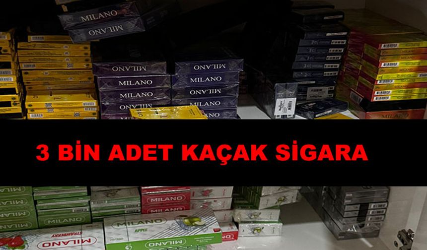 Jandarma’dan operasyon