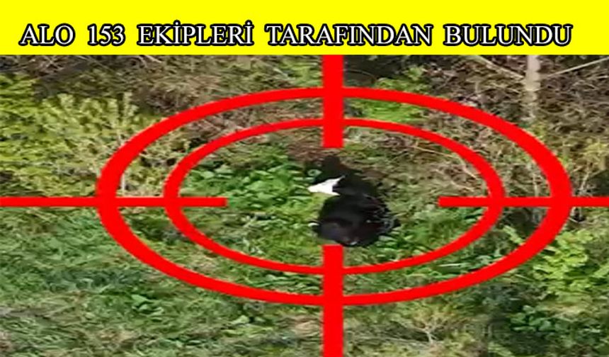 Vatandaşın büyükbaş hayvanı bulundu