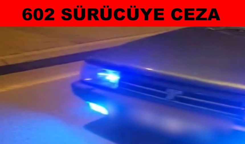 Trafik denetimi