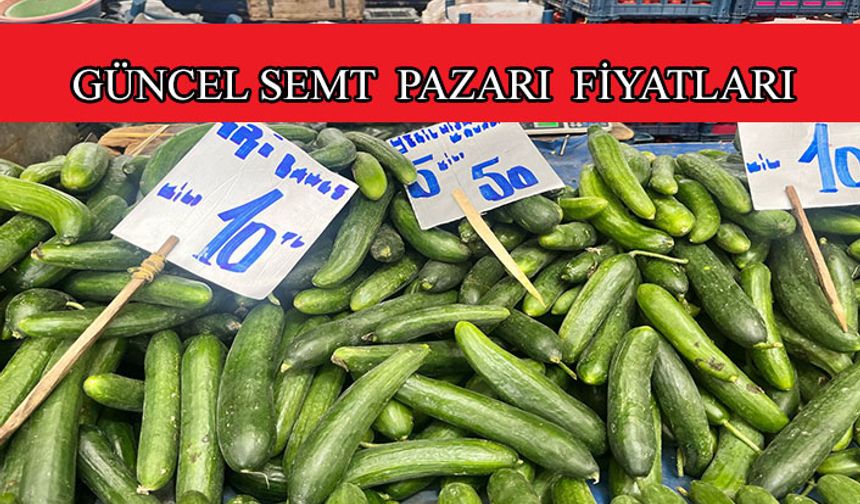 Kayseri'de pazar tezgahlarının en ucuz ürünü salatalık oldu