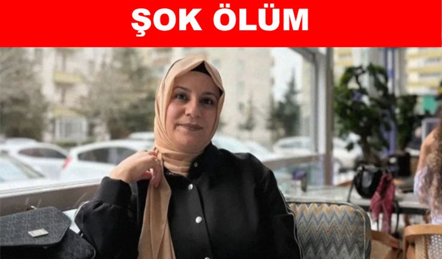 KENE KAYSERİ'DE CAN ALDI