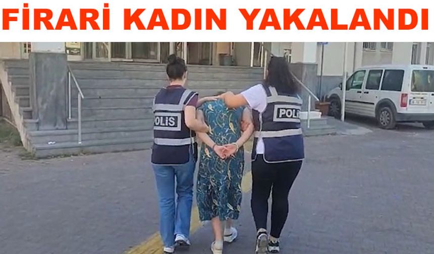 Hırsızlık suçundan arananıyordu