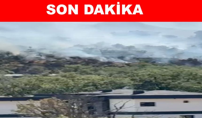 Çay Bağları’nda çıkan yangına müdahale sürüyor