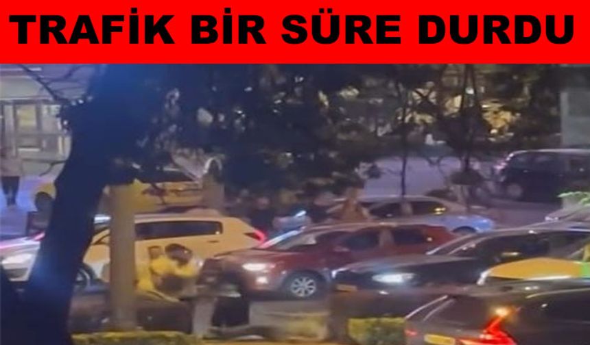 Araç sürücü yaya arasında kavga
