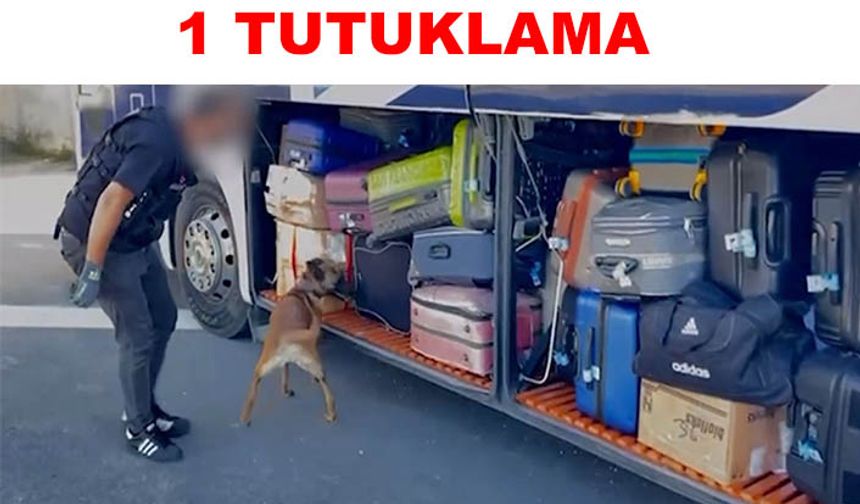 Narkotik operasyonu
