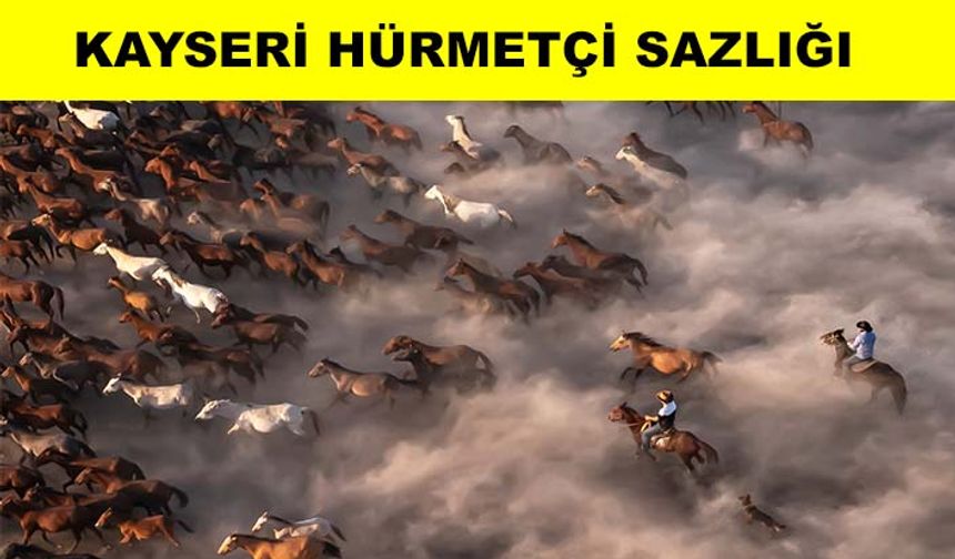 National Geographic’ten günün fotoğrafı