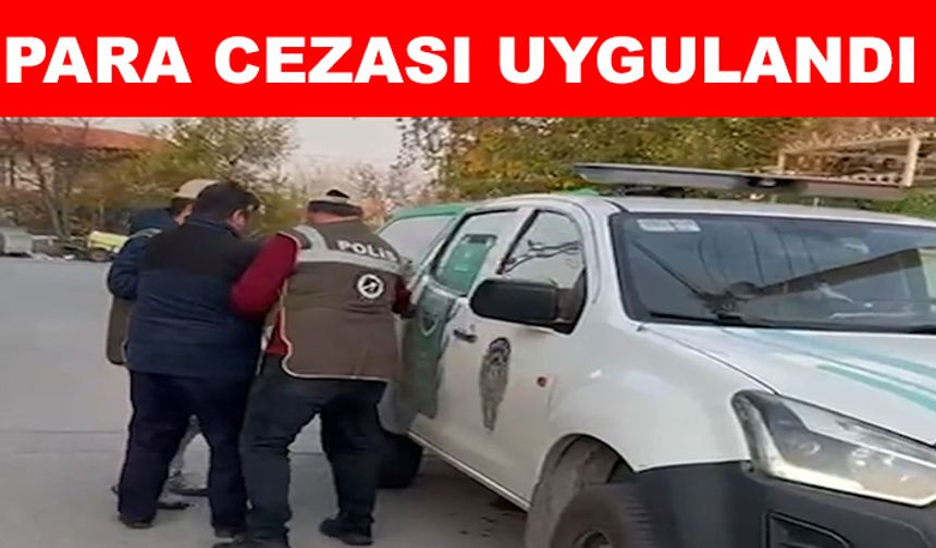 Kediye çarpıp kaçan şahıs yakalandı