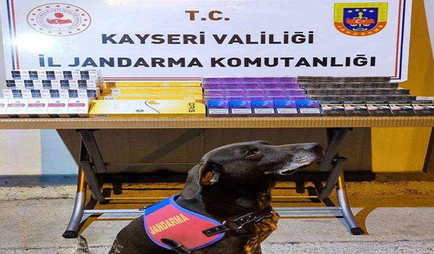 Jandarmanın yol kontrolünde durdurduğu tırdan 750 paket kaçak sigara ele geçirildi