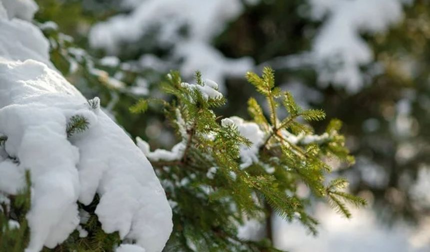 Kayseri hafta içi parçalı bulutlu ve kar yağışlı geçecek