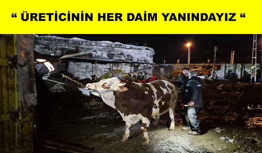 Sel riskine karşı hayvanlar tahliye edildi