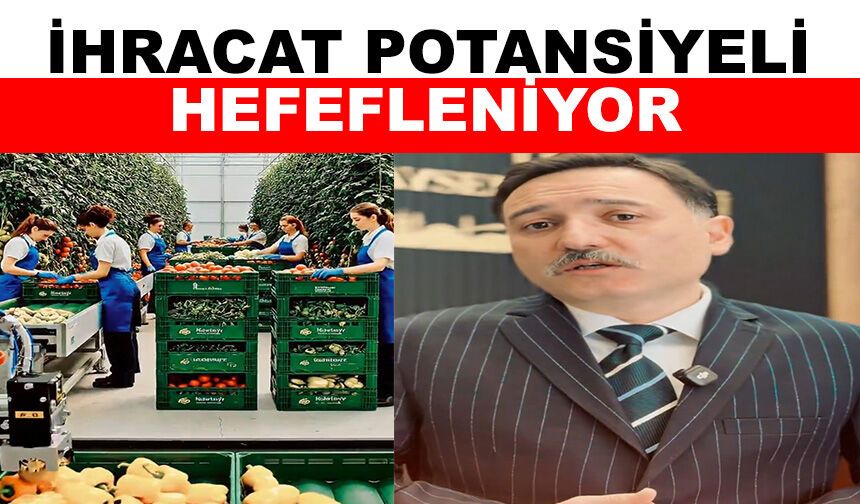 Vali Çiçek: Sera Tarım Bölgesi projemizde istediğimiz seviyede suya ulaşılması bizleri çok mutlu etti