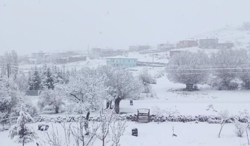 3 İlçede Kar Yağışı Etkili Oldu