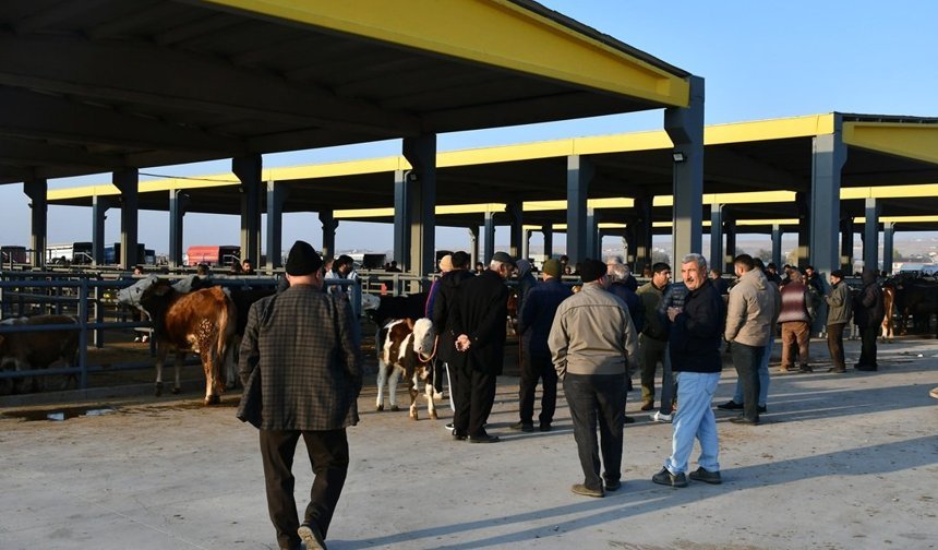 Kayseri’de Kurbanlık Tavsiye Fiyatları Açıklandı