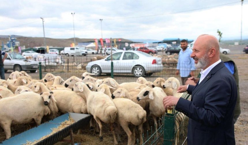 Bölgenin En Büyük Kesim ve Satış Yeri Yine Kocasinan’da Hazırlandı