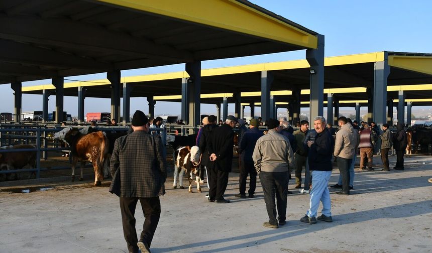 Başkan Bağlamış: “Kayseri Artık Tarım ve Hayvancılığın Öncü Şehridir”