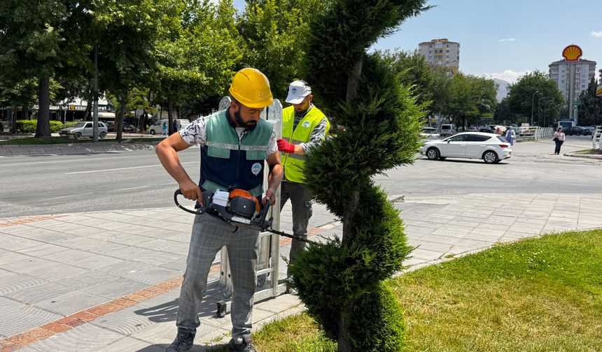 Büyükşehir’den Kent Estetiğine Titiz Dokunuş: Süs Bitkilerine Form Budaması