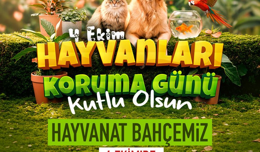 Başkan Büyükkılıç: “Tüm Canlıların Yaşam Hakkına Saygı Göstermeliyiz”